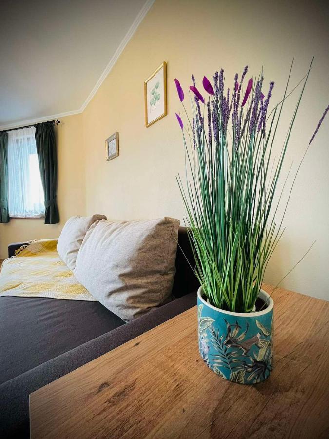Apartment The Green Guest House-Amazing View, Top Location, Entire House *